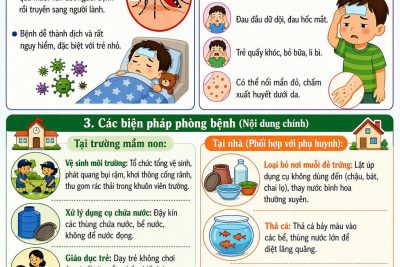 🌿 Trường Mầm non Đức Hiệp 🌿  Phòng chống sốt xuất huyết là trách nhiệm chung của gia đình và nhà trường. Mỗi hành động nhỏ hôm nay sẽ góp phần bảo vệ sức khỏe cho các con ngày mai.  👉 Hãy cùng nhau: ✔️ Giữ vệ sinh môi trường sạch sẽ ✔️ Diệt lăng quăng, muỗi vằn ✔️ Cho trẻ ngủ màn, mặc quần áo dài khi cần  💚 Chung tay phòng bệnh sốt xuất huyết để trẻ luôn khỏe mạnh – an toàn – vui tươi mỗi ngày!  #MamNonDucHiep #PhongChongSotXuatHuyet #BaoVeTreEm