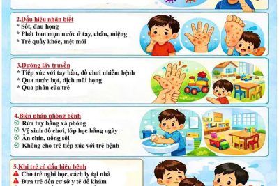 📢 Trường Mầm non Đức Hiệp tuyên truyền phòng, chống bệnh Tay – Chân – Miệng.  Cần lưu ý: 🦠 Bệnh dễ lây, thường gặp ở trẻ nhỏ. 🛡️ Giữ vệ sinh, rửa tay sạch, ăn chín uống sôi. ⚠️ Trẻ có dấu hiệu cần nghỉ học, đi khám kịp thời.